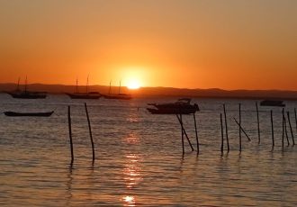 WhatsApp Image 2023-09-19 at 18.01.00